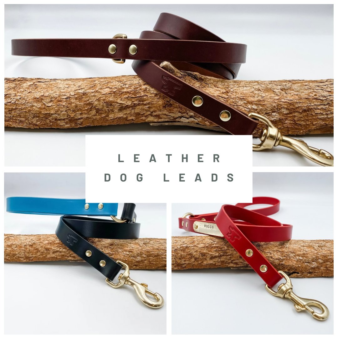 Two Tone Classic Lead - Custom Leather Dog Lead main image 0