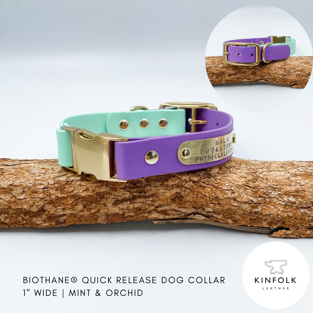 Mint and orchid dog collar with gold hardware on a branch, branded with Kinfolk Leather.