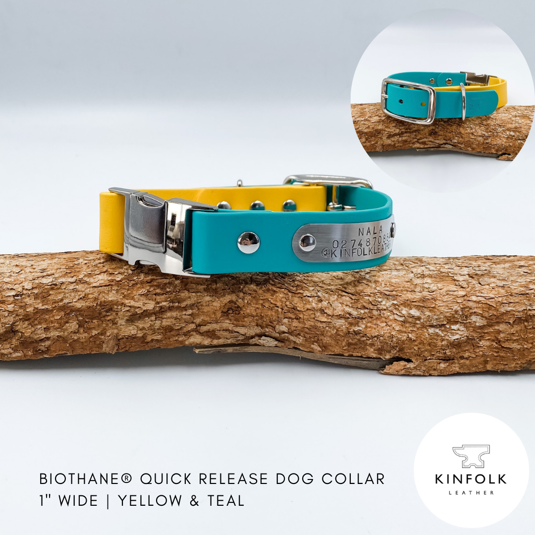 Teal and yellow dog collar with quick release mechanism on a wooden log against a white background.