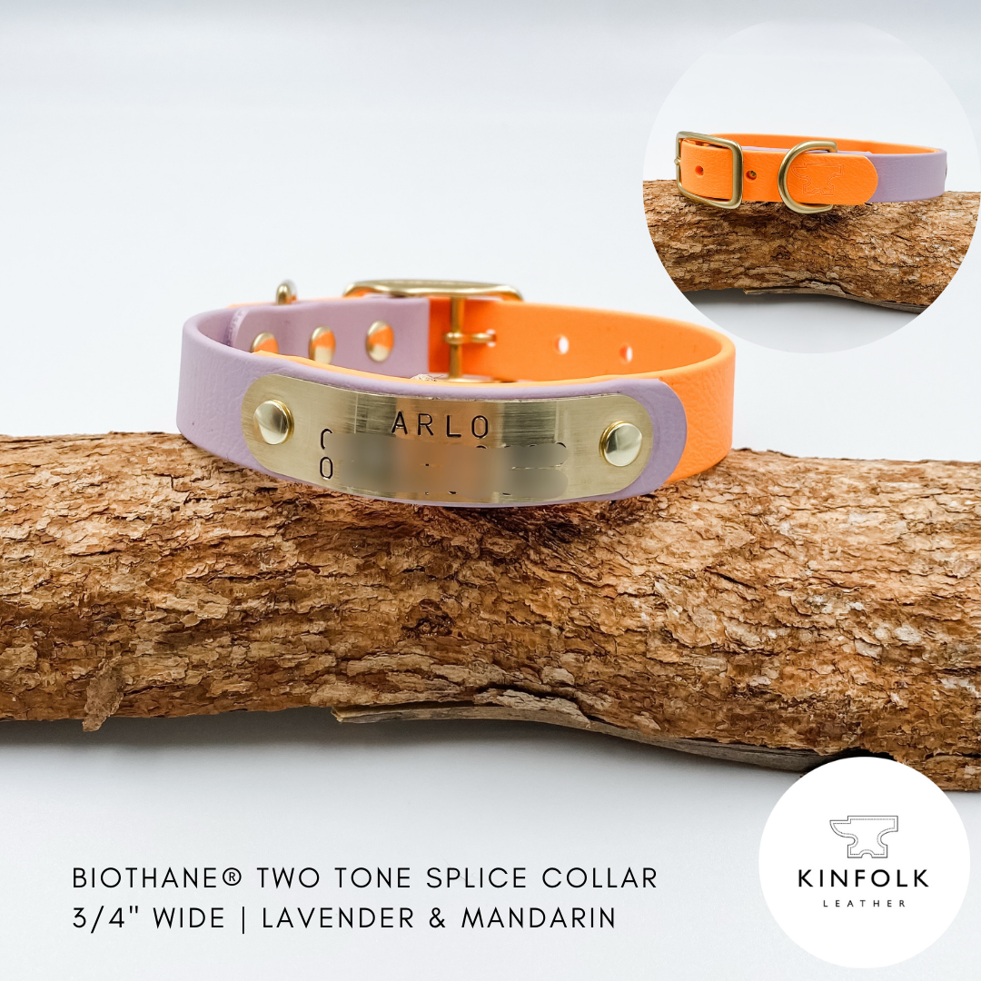 Two-tonesplice collar in lavender and Mandarin on a wooden branch with Kinfolk Leather logo.