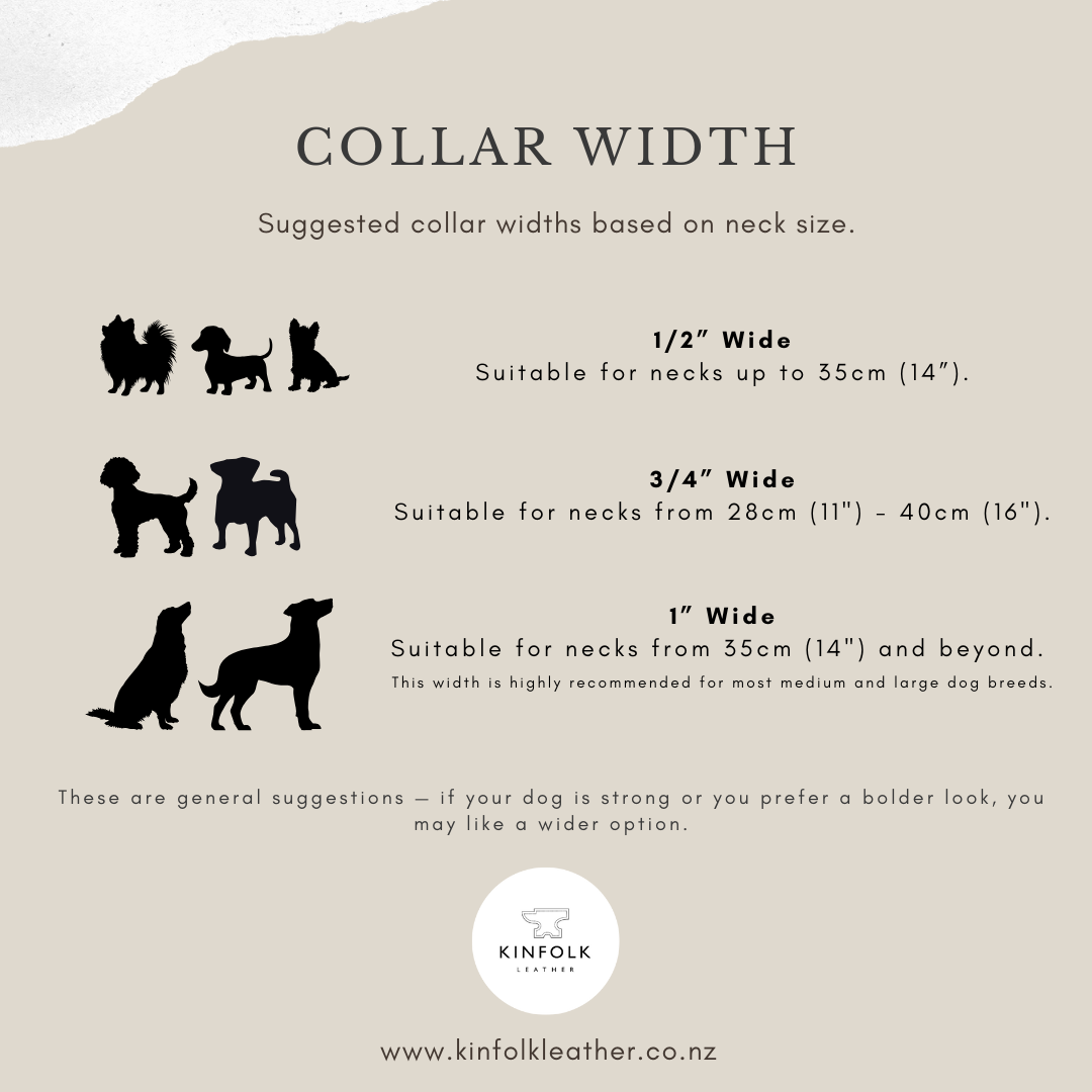 BioThane Dog Collar Width Guide - Kinfolk Leather Custom Dog Collar NZ