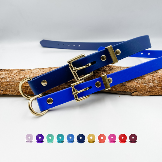 Blue D End Custom Dog Collar - Made in NZ by Kinfolk Leather. Features brass buckle and nameplate