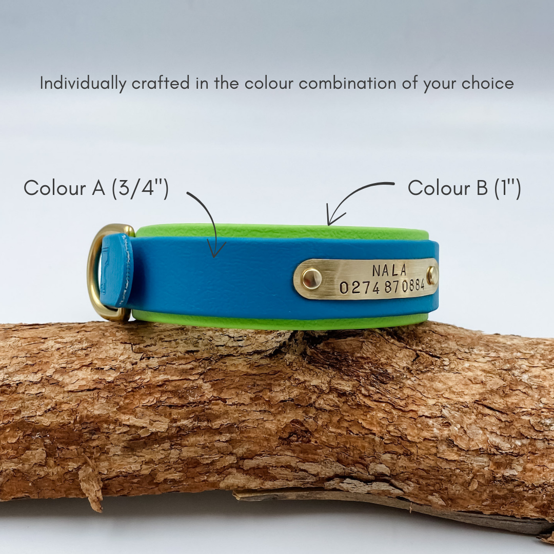 Waterproof BioThane Double Layered Collar with handstamped nameplate. Handmade by Kinfolk Leather in NZ