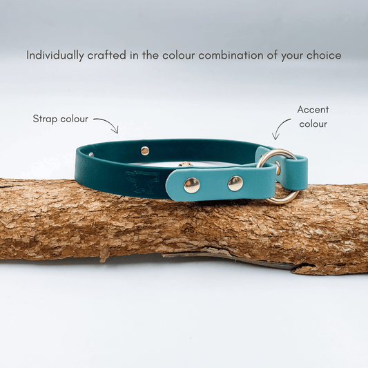 BioThane D Tag House Collar with brass nameplate - made in NZ by Kinfolk Leather