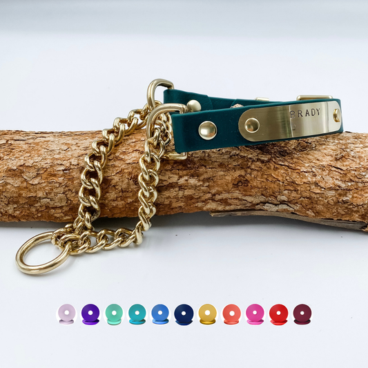 Custom Martingale Dog Collar in waterproof Biothane. Made in NZ by Kinfolk Leather. Forest Green