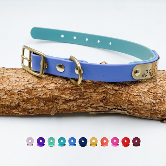 Blue and green waterproof biothane dog collar with name - custom made in NZ by Kinfolk Leather