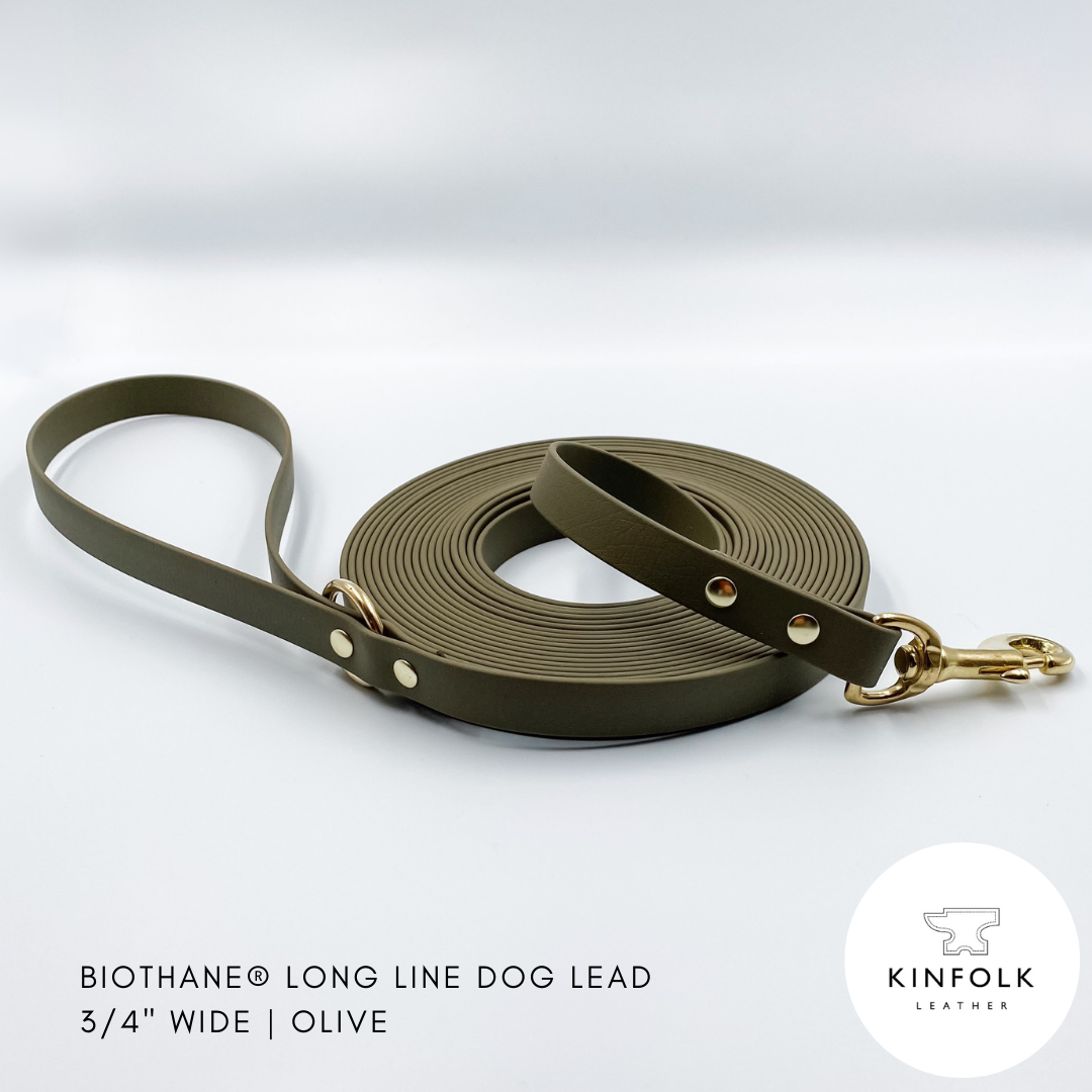 Olive Green long line dog lead in waterproof biothane and brass - handmade in NZ by Kinfolk Leather