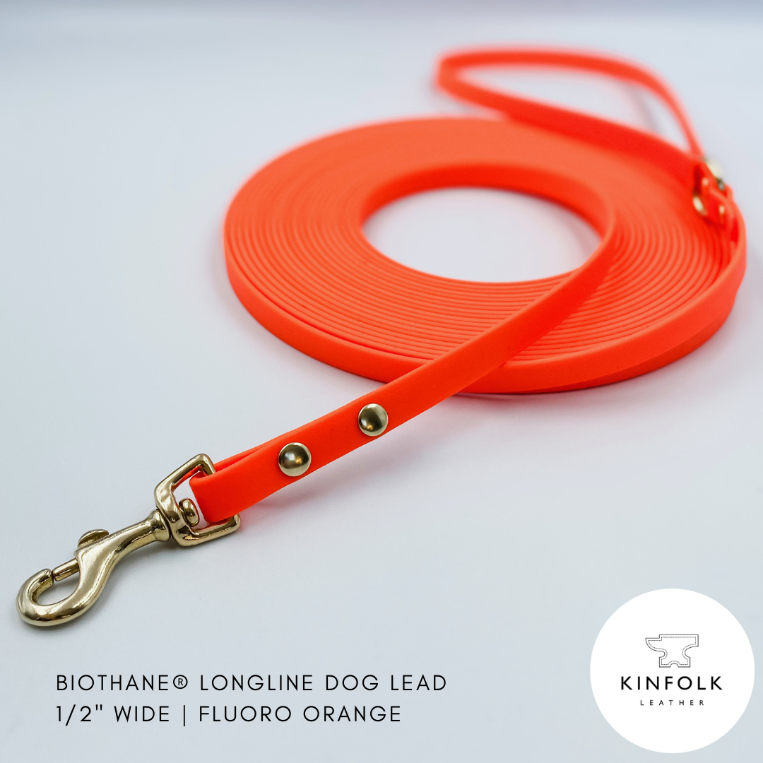 Fluoro highlighter bright Orange long line dog lead in waterproof biothane and brass - handmade in NZ by Kinfolk Leather