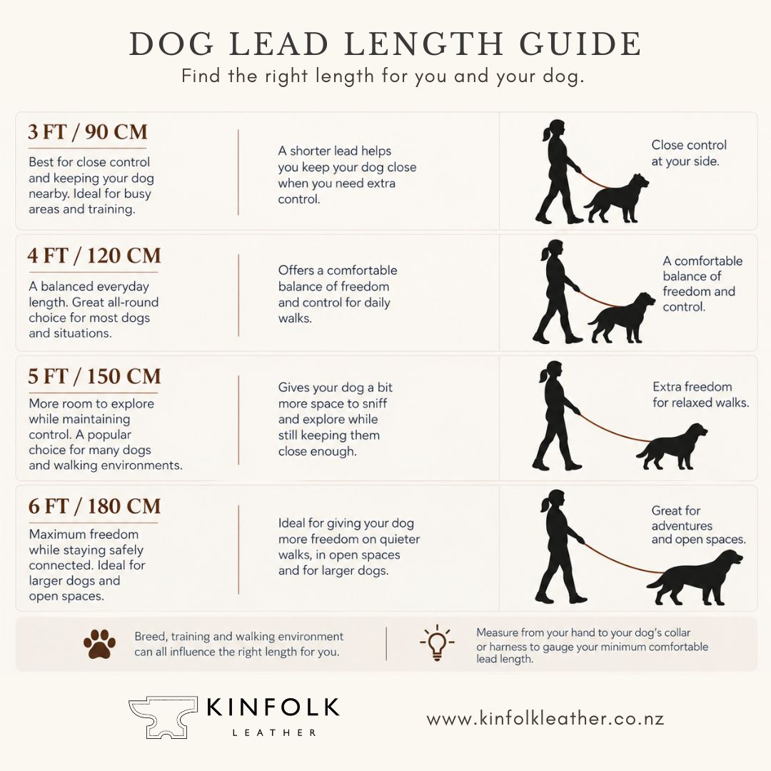 Two Tone Classic Lead – Waterproof BioThane® Custom Dog Lead