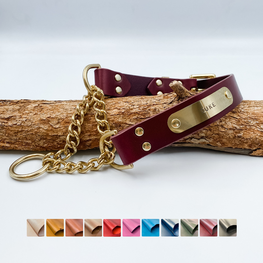 Genuine Leather Martingale or Half Check Dog Collar with brass nameplate - Custom Made in NZ by Kinfolk Leather