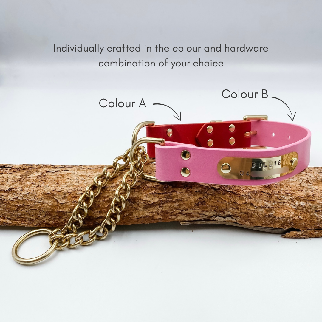 Genuine Leather Martingale or Half Check Dog Collar with brass nameplate - Custom Made in NZ by Kinfolk Leather - Pink and Red