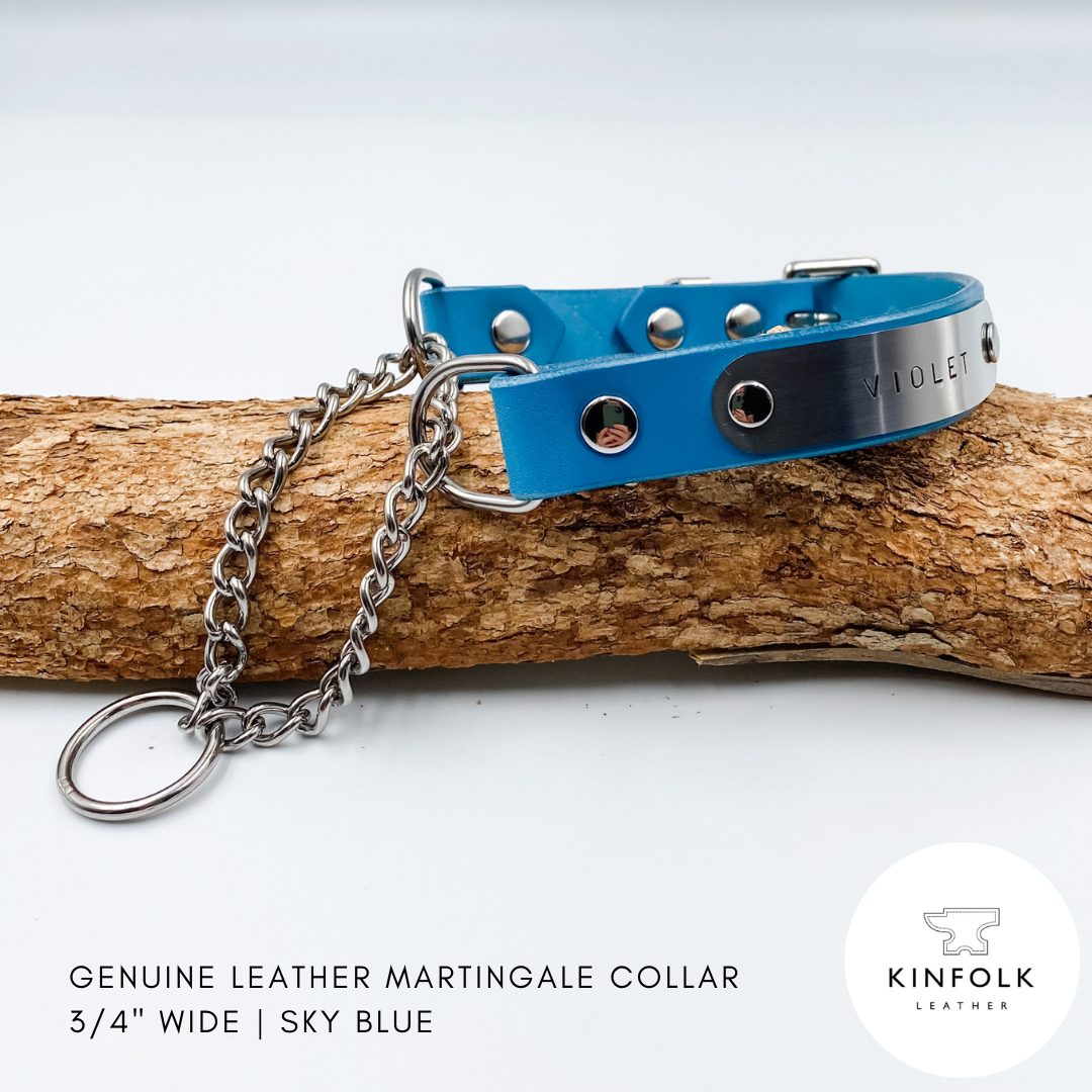 Blue leather martingale collar with chain on a wooden branch, featuring the Kinfolk Leather logo.