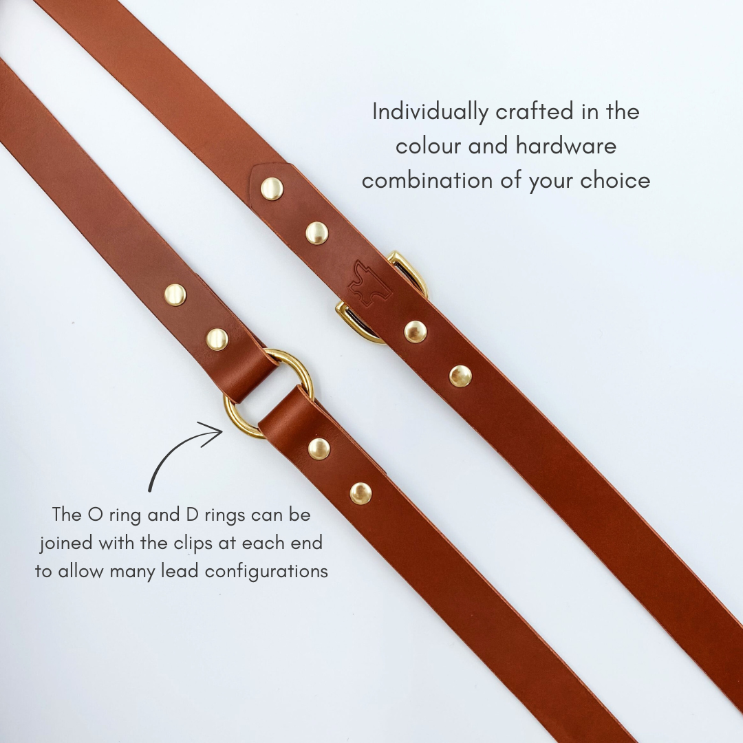 Genuine Leather Multi Use Handsfree Training Dog Lead - Custom made by Kinfolk Leather in NZ. Dark Tan