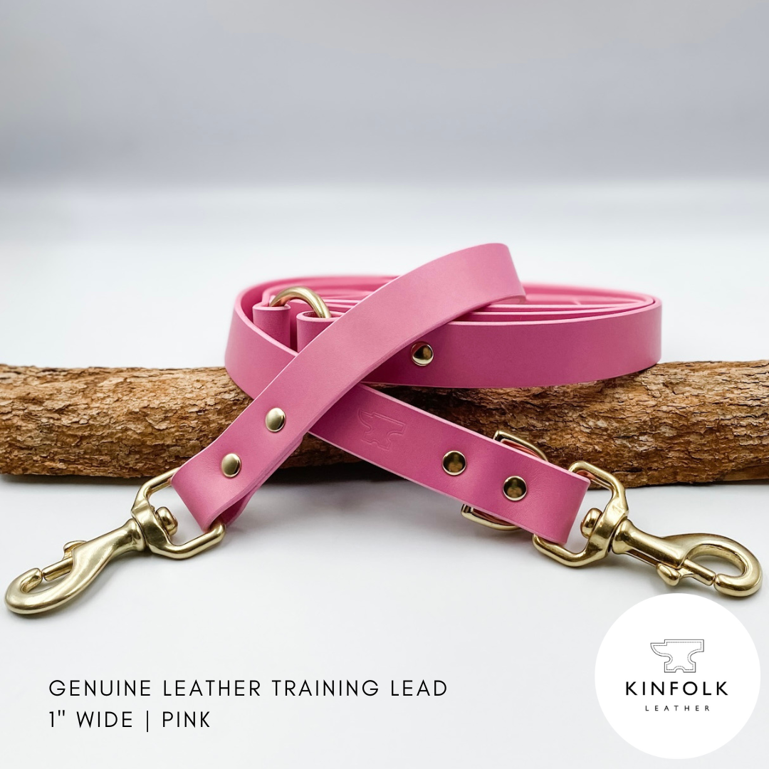 Genuine Leather Multi Use Handsfree Training Dog Lead - Custom made by Kinfolk Leather in NZ. Pink