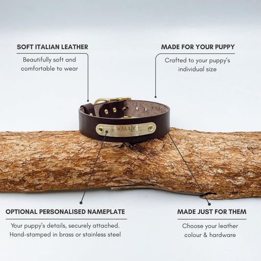 Leather puppy collar features including soft leather, adjustable sizing and optional personalised nameplate