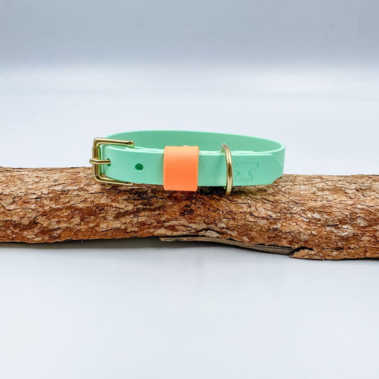 Mint BioThane dog collar with a contrasting mandarin keeper and solid brass hardware, handmade in New Zealand.