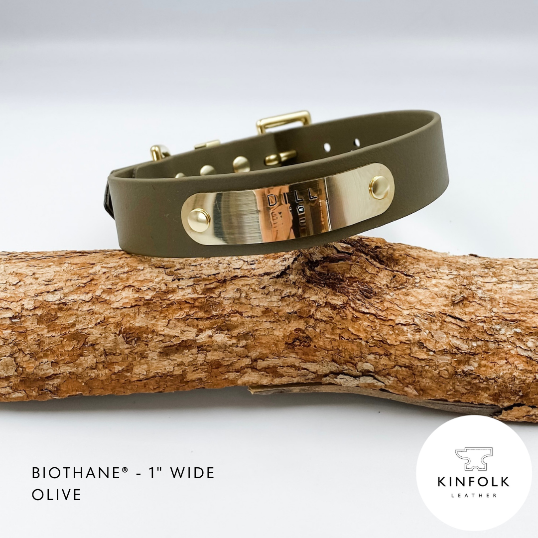 Waterproof BioThane Dog Collars - Custom Made in NZ by Kinfolk Leather - Olive Green