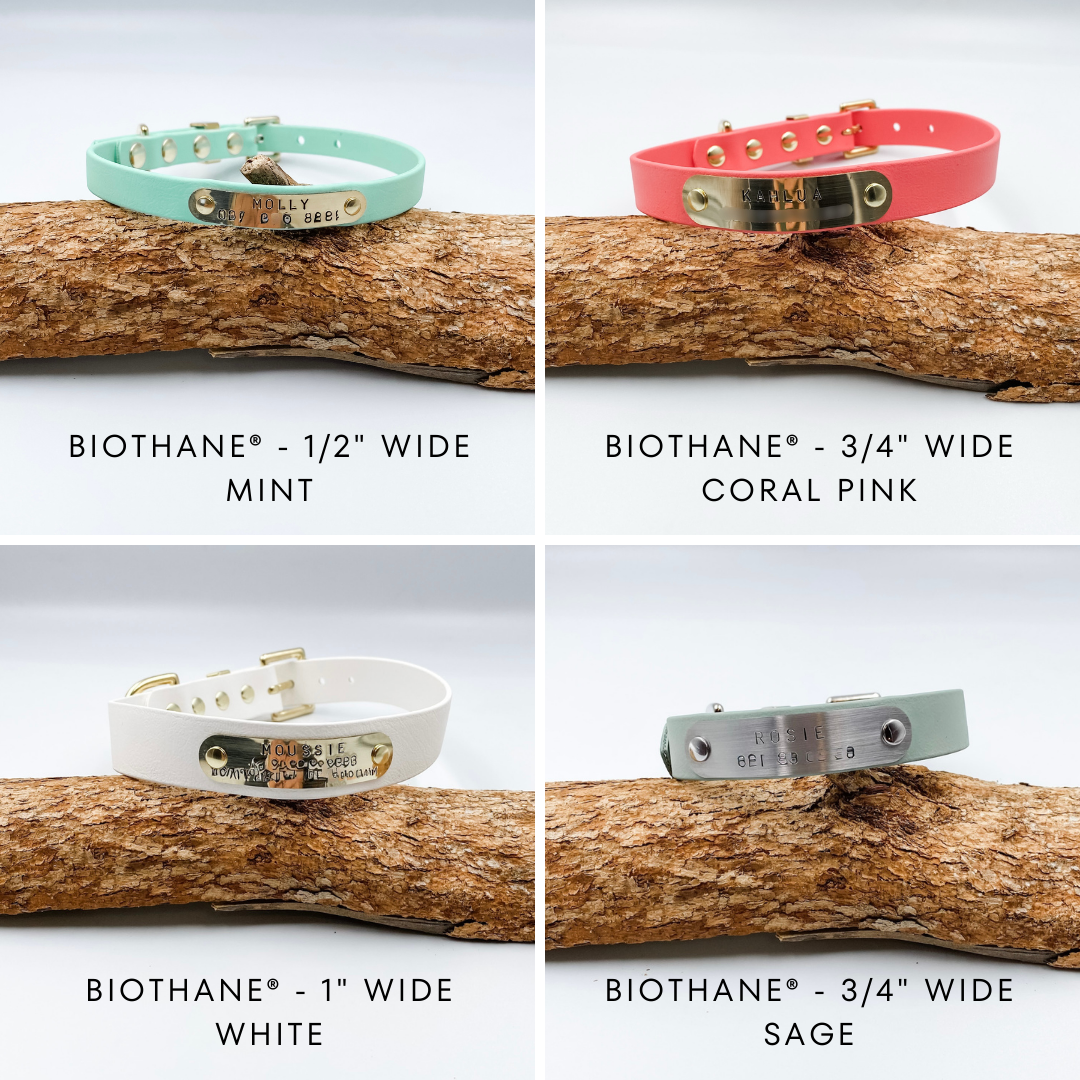 Waterproof BioThane Dog Collars - Custom Made in NZ by Kinfolk Leather - Various Colours