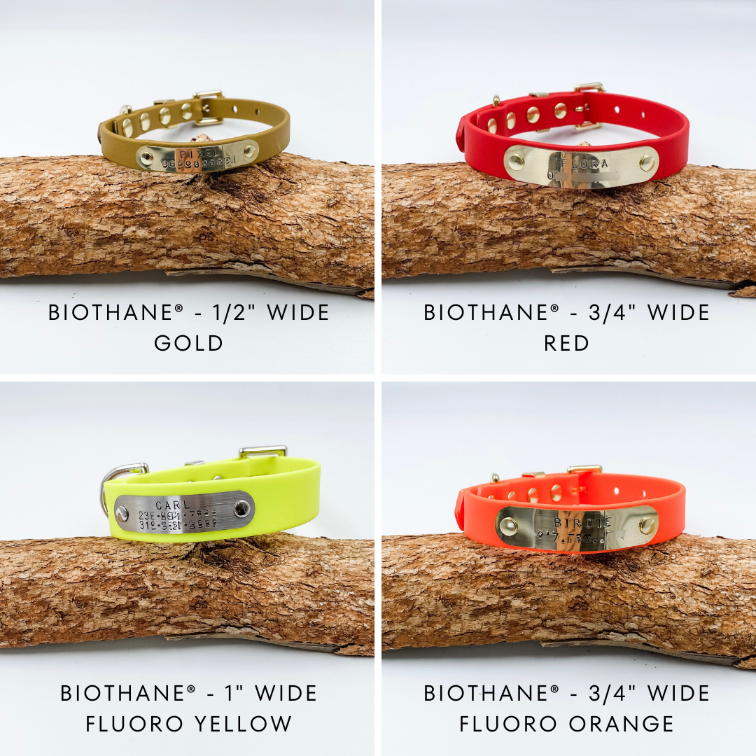 Waterproof BioThane Dog Collars - Custom Made in NZ by Kinfolk Leather - Various Colours