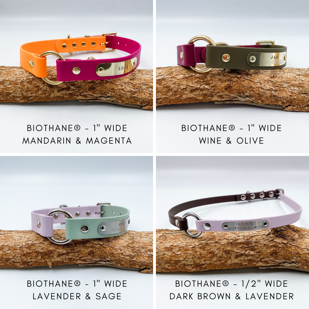 Waterproof BioThane Dog Collar - custom O ring dog collar - made in NZ by Kinfolk Leather. Various Colours and Widths available