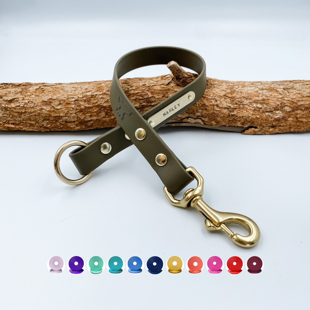 Lead Extension – Waterproof BioThane® Custom Dog Lead