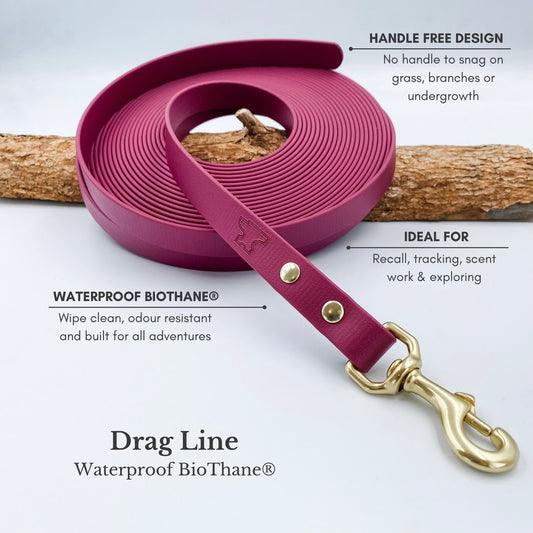 BioThane® drag line showing handle-free design for recall training and exploring