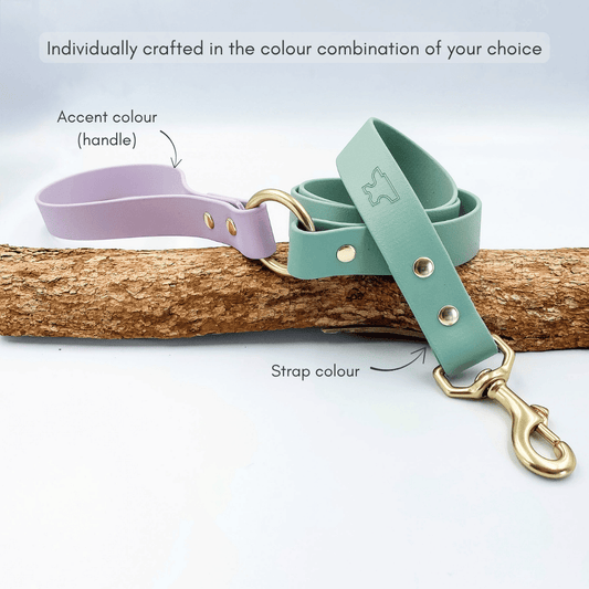 Two Tone Classic Lead – Waterproof BioThane® Custom Dog Lead