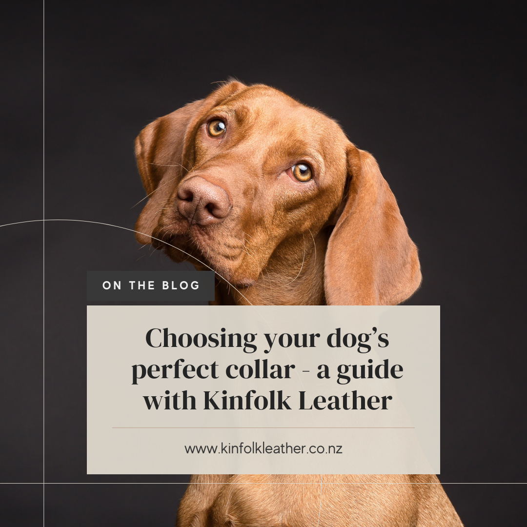 How to Choose a Custom Dog Collar