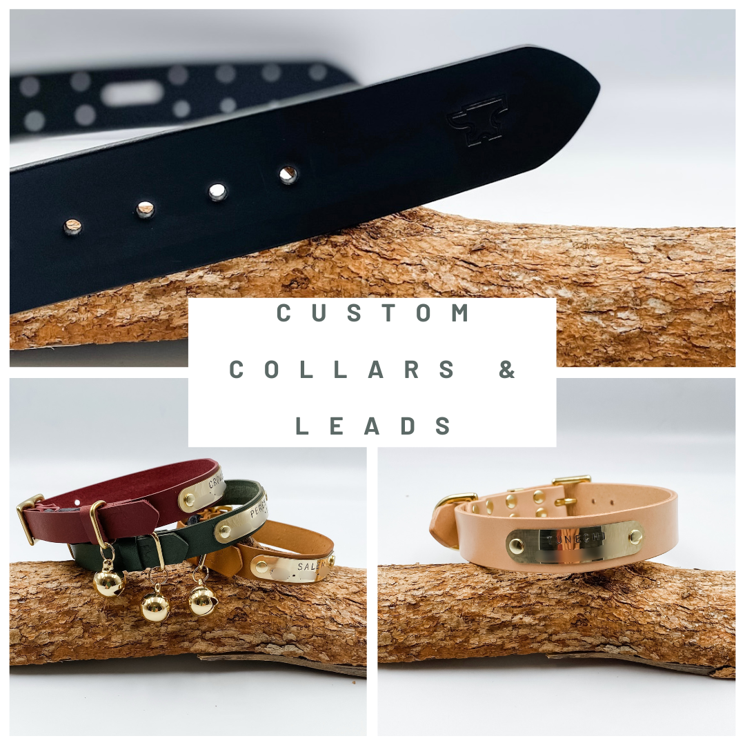 Custom Collars and Leads for Dogs and Cats - Made in NZ by Kinfolk Leather