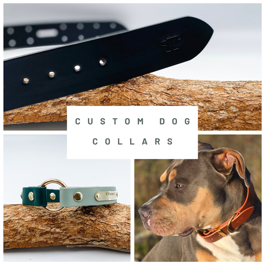 Custom Colles Custom Dog Collars NZ | Leather & BioThaneยฎ โ Kinfolk Leather