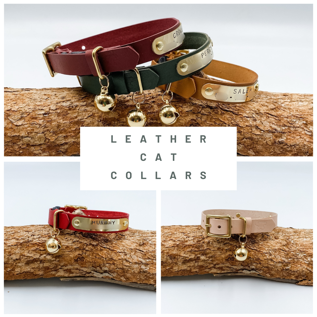 Custom Genuine Leather Cat Collars - Made in NZ by Kinfolk Leather