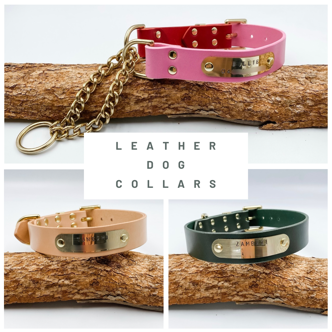 Genuine Leather Custom Dog Collars - made in nz by Kinfolk Leather