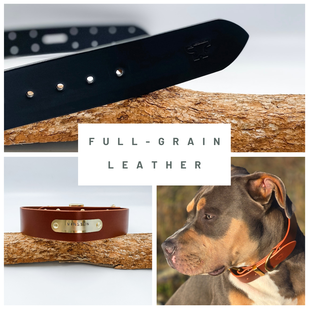 Angel Pet Supplies Alpine Genuine Leather Dog Leash - 6' X 3/4", Padded Handle, Solid Brass Hardware