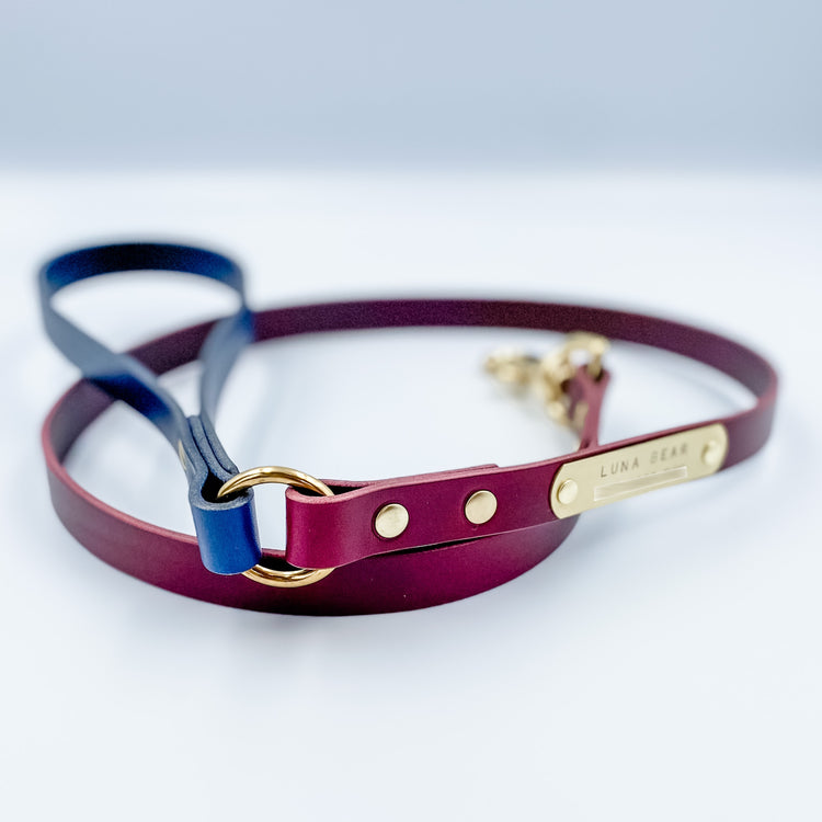 Leather Dog Leads