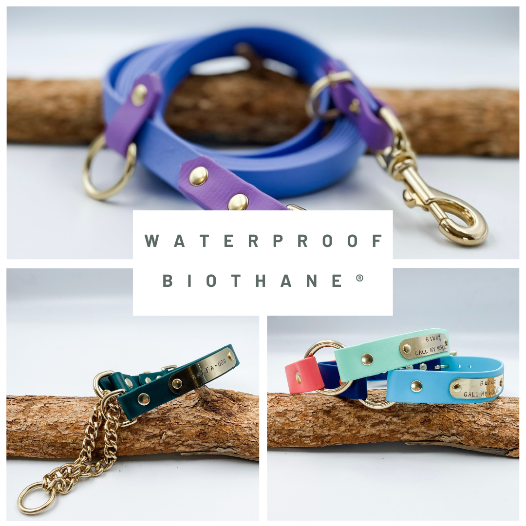 Waterproof Biothane Custom Dog Collars and Leads - Made in NZ by Kinfolk Leather