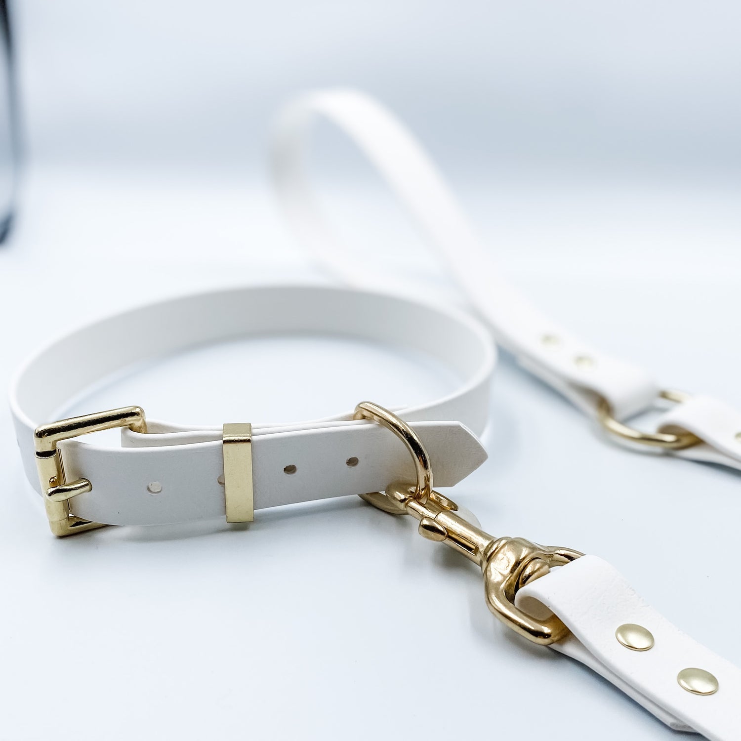 Wedding Dog Collars & Leads – Custom Made in NZ