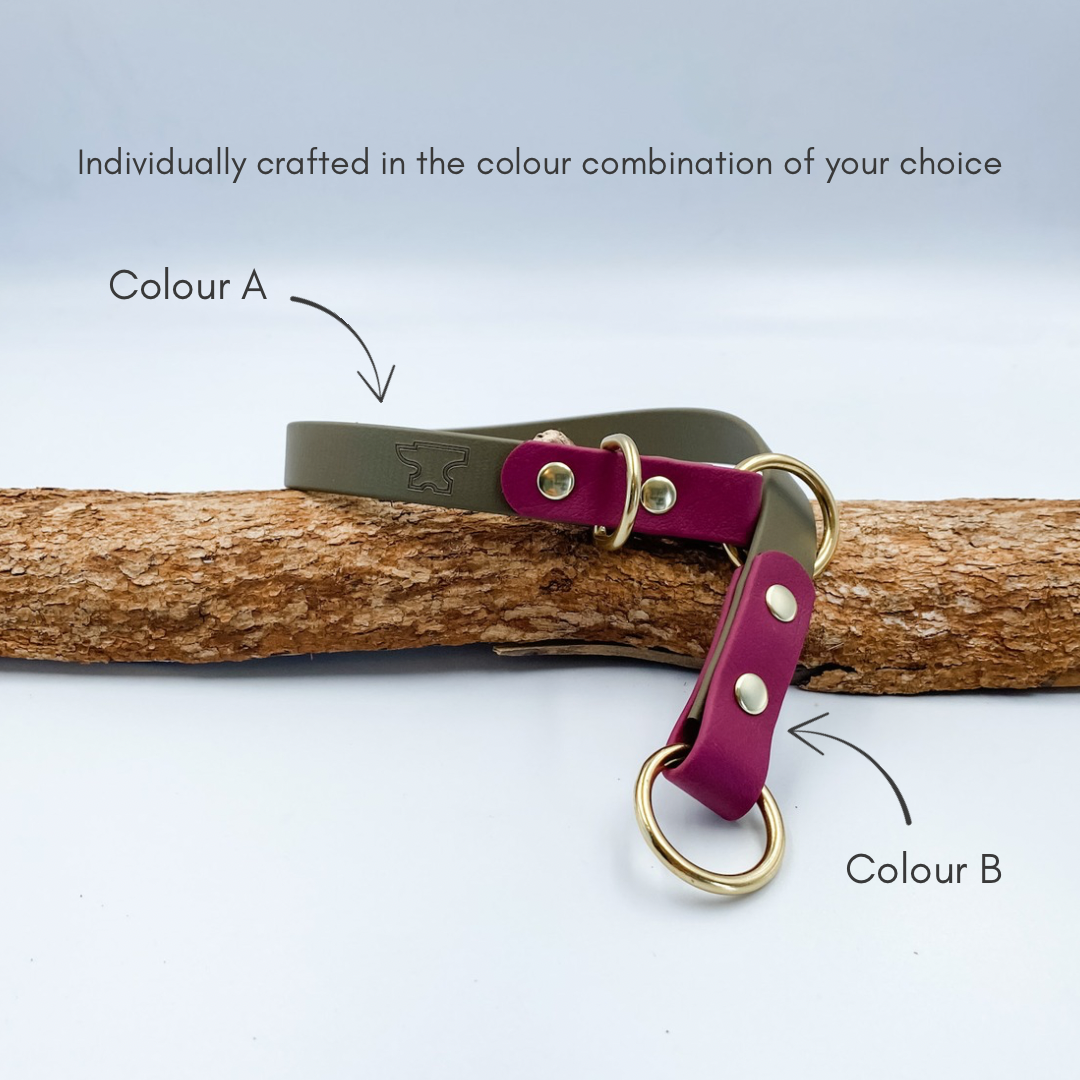 Slip Dog Collar - Waterproof BioThane® Custom Dog Collar