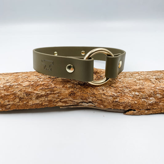 Waterproof BioThane® - Custom Dog Collar - ID Tag House Collar