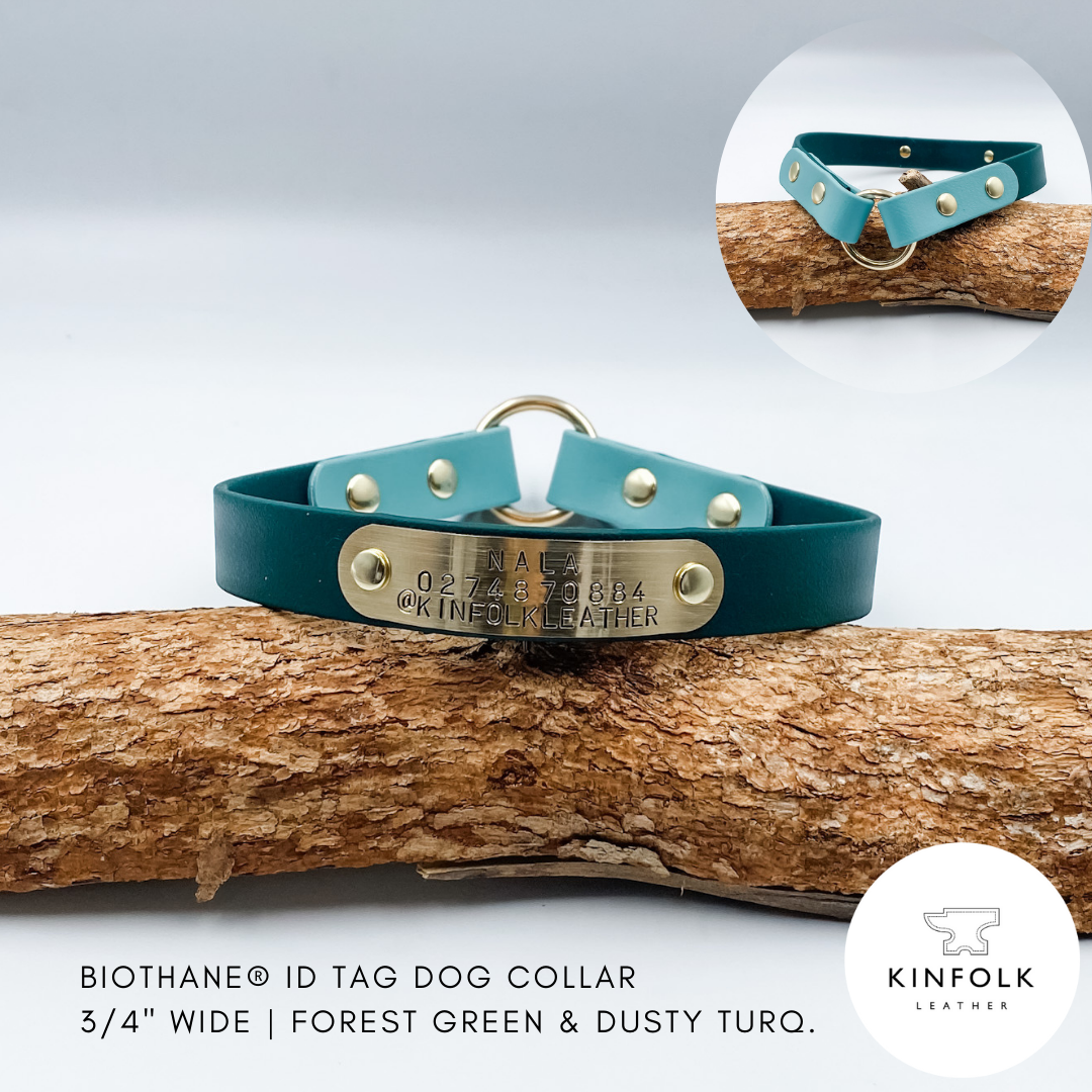 BioThane D Tag House Collar with brass nameplate - made in NZ by Kinfolk Leather