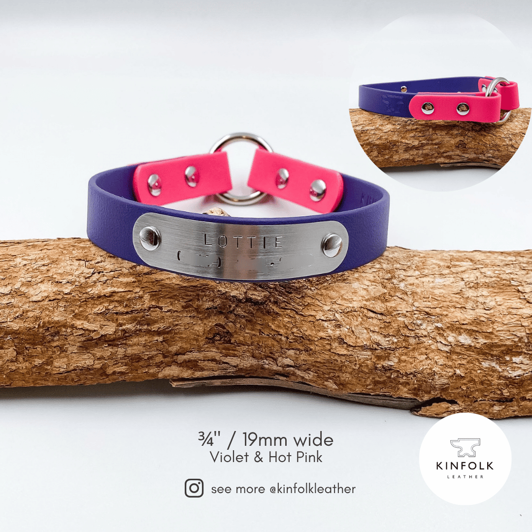 Lightweight ID Tag Collar - Waterproof BioThane® - Custom Dog Collar
