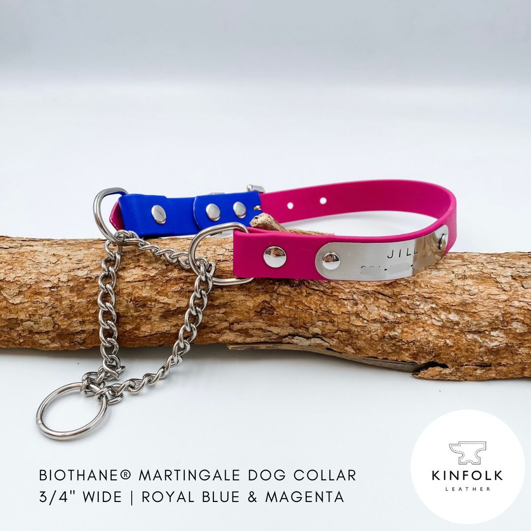 Biothane martingale dog collar in royal blue and magenta on a wooden branch with Kinfolk Leather branding.