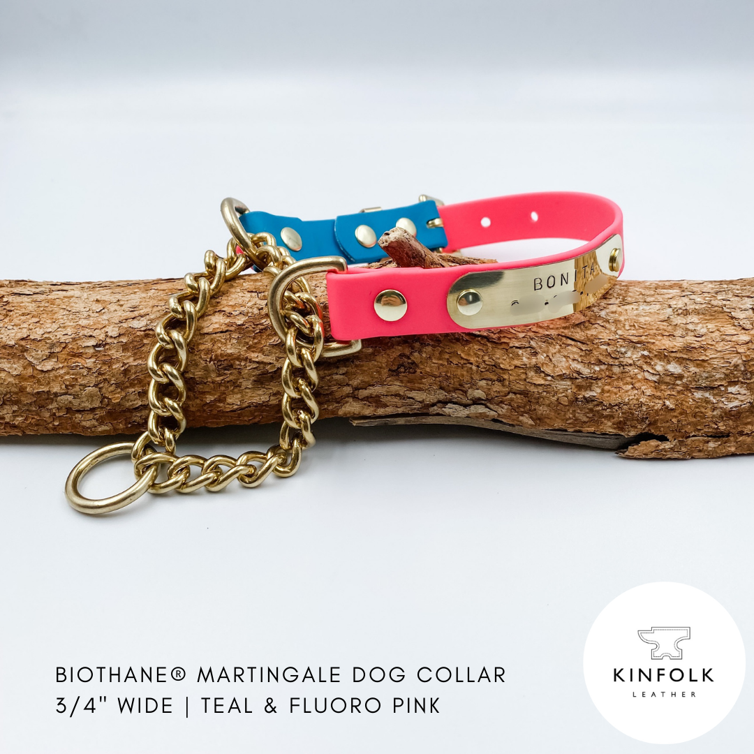 Teal and fluoro pink martingale dog collar with gold chain on a wooden branch against a white background.