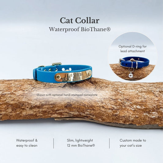 Waterproof BioThane cat collar with optional hand-stamped nameplate and D-ring, showing lightweight 12 mm material and custom sizing.
