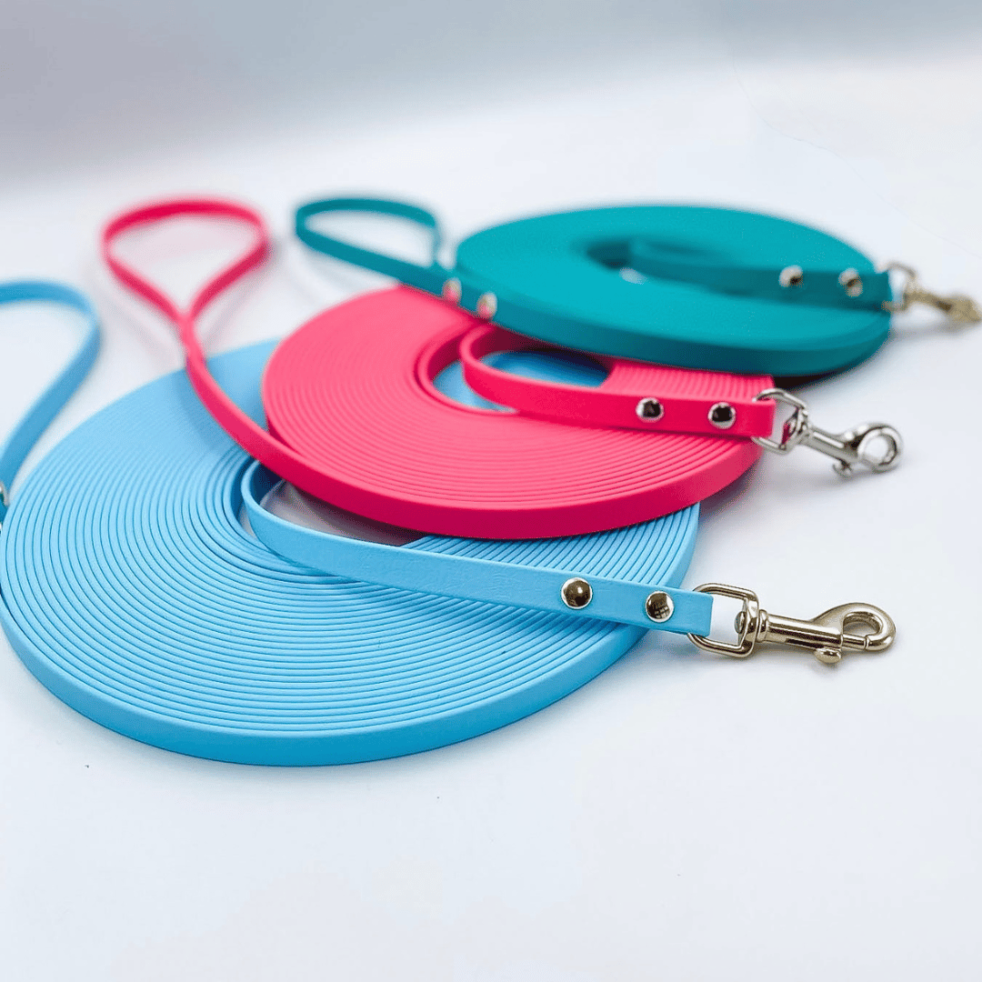 Waterproof BioThane® Long Line Dog Lead with Handle
