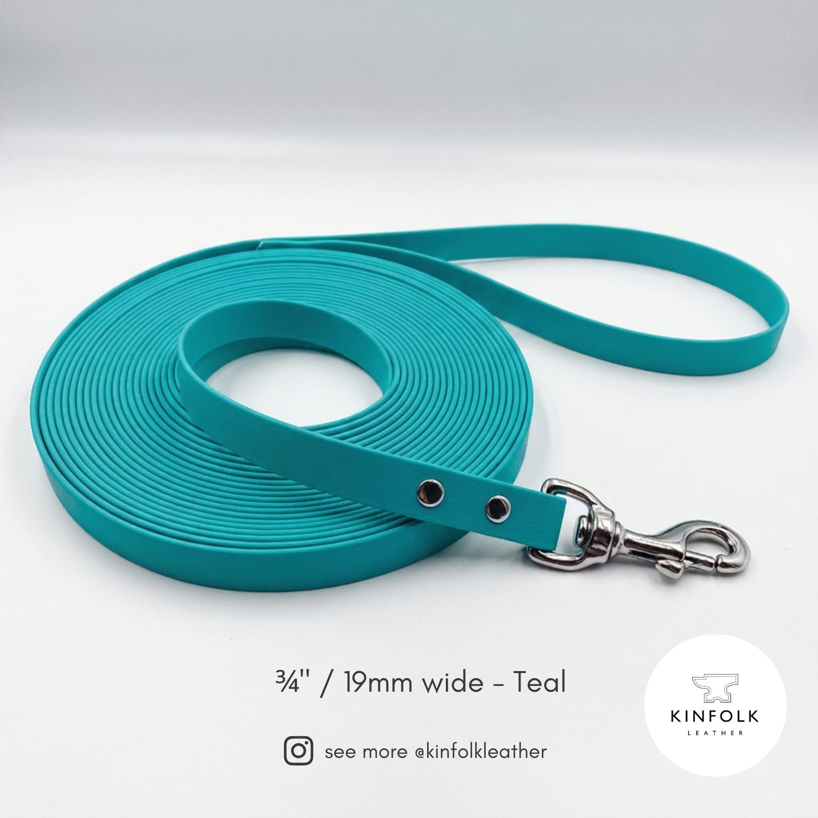 Teal BioThane® long line dog lead with silver solid brass hardware