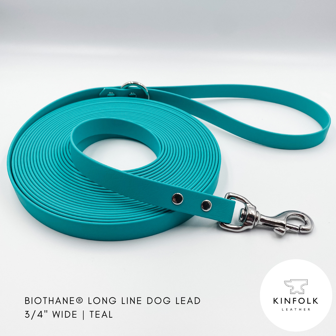 Teal Green long line dog lead in waterproof biothane and brass - handmade in NZ by Kinfolk Leather