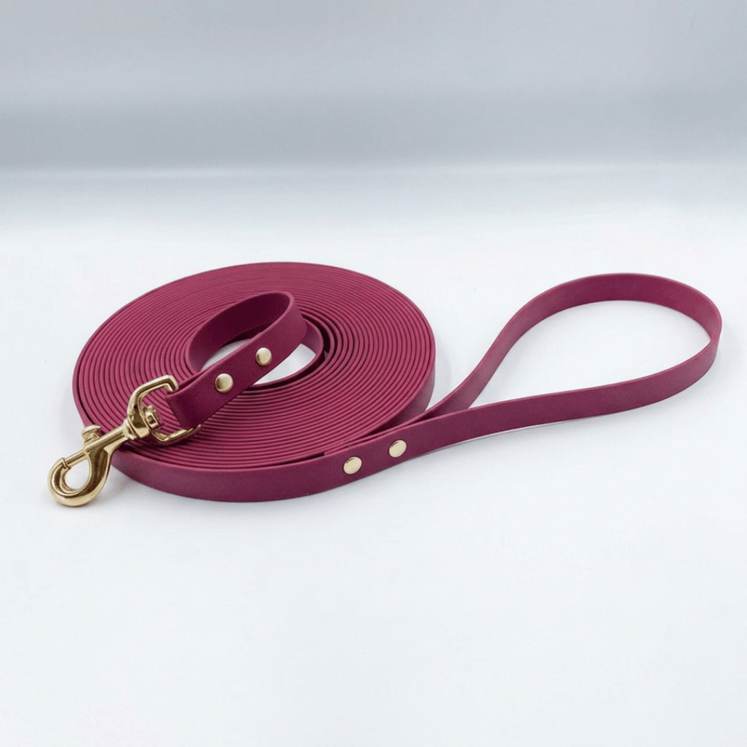 Waterproof BioThane® Long Line Dog Lead with Handle
