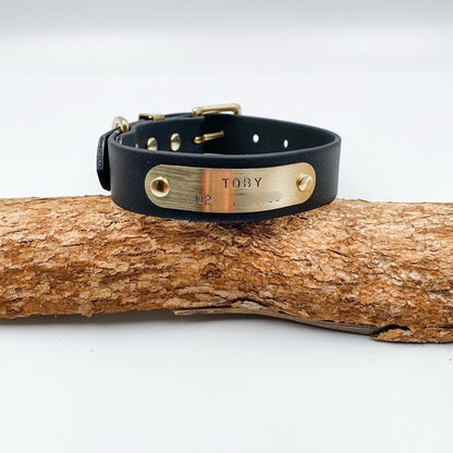 Black leather dog collar with gold nameplate on a wooden branch