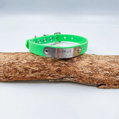 Green dog collar with metal tag on a wooden branch against a light gray background