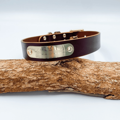 Brown leather dog collar with a metal tag on a wooden branch against a light gray background